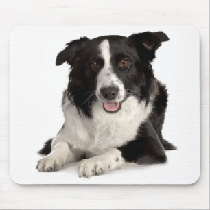Tapis de souris Chien chiot Border Collie Amour