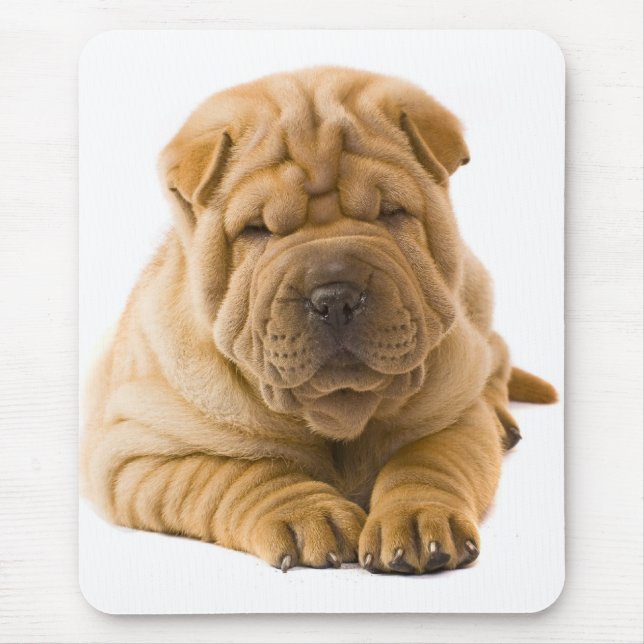 Tapis De Souris Chien chiot chinois Shar Pei - Sharpei (Devant)