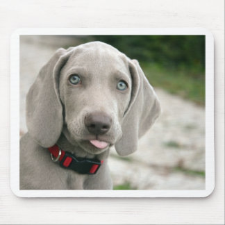 Tapis De Souris Chien collant la langue