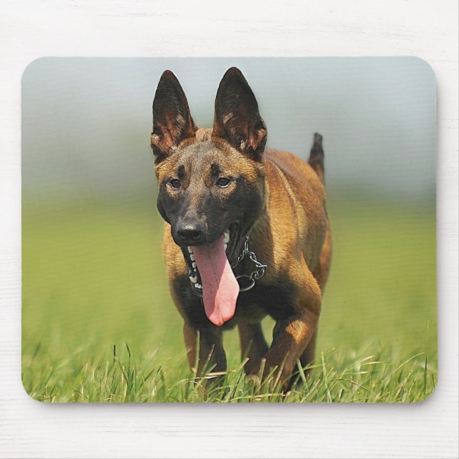 Tapis De Souris Chien de berger belge (Devant)