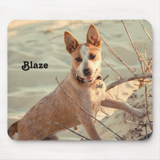Tapis De Souris Chien de bétail australien rouge - Heeler - dans l (Devant)
