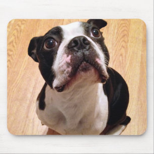 Tapis De Souris Chien de Boston Terrier