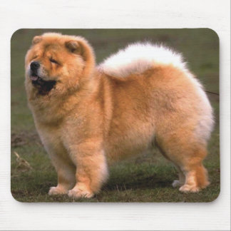Tapis De Souris Chien de bouffe de bouffe