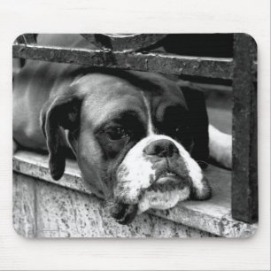 Tapis De Souris Chien de boxe sur Windowsill mpcna