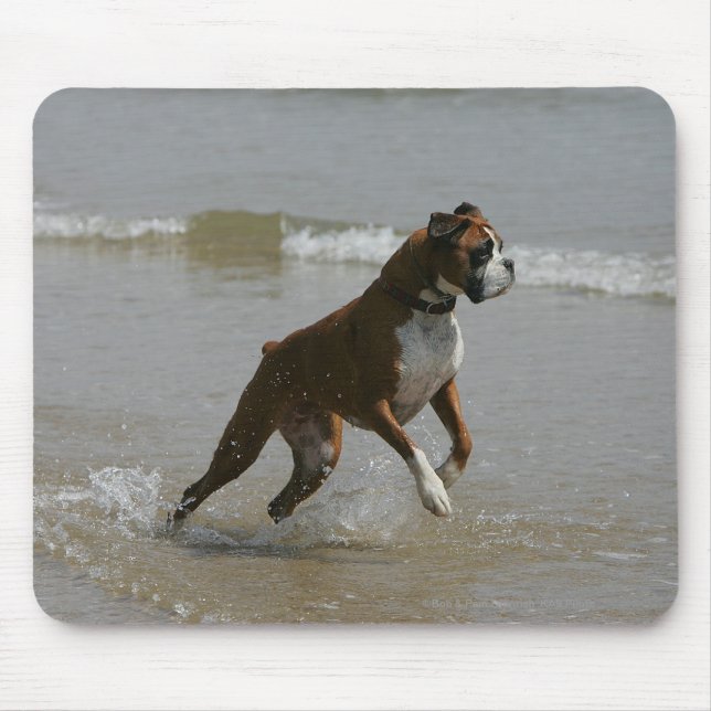 Tapis De Souris Chien de boxeur dans l'eau (Devant)