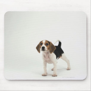 Tapis De Souris Chien de chien