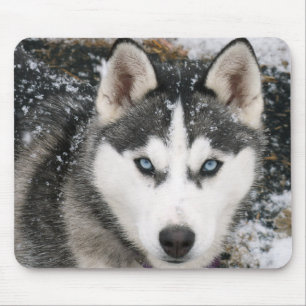 Tapis De Souris Chien de chiot sibérien Husky à Mousepad
