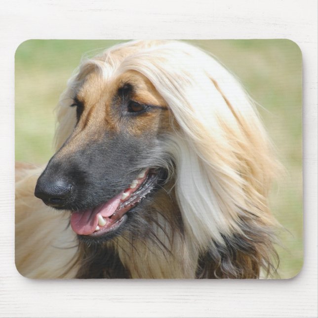 Tapis De Souris Chien de HoundPuppy d'Afghan (Devant)