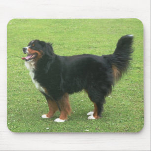 Tapis De Souris Chien de montagne de Bernese