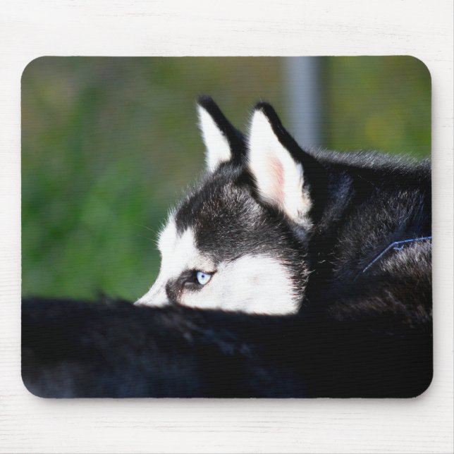 Tapis De Souris Chien de traîneau sibérien Mousepad (Devant)