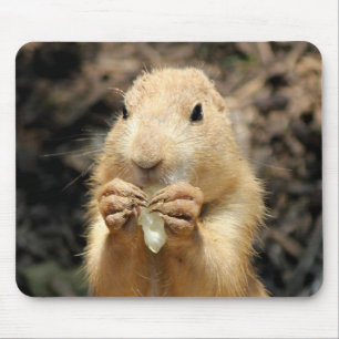 Tapis De Souris Chien des Prairies ayant un snack