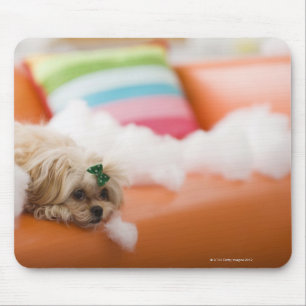 Tapis De Souris Chien destructif