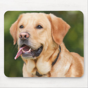 Tapis De Souris Chien du Labrador jaune - Laboratoire
