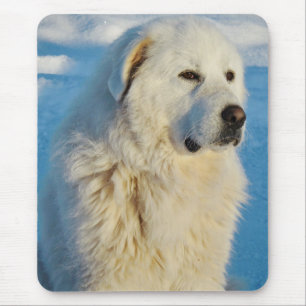 Tapis De Souris Chien gardien du bétail dans les Pyrénées blanc