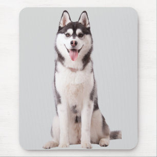 Tapis De Souris Chien Husky de Sibérie