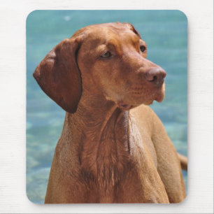 Tapis De Souris Chien Magyar Vizsla