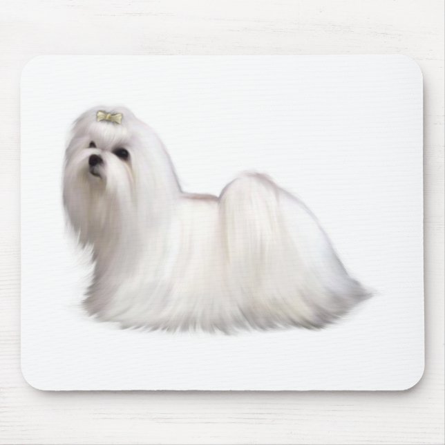 Tapis De Souris Chien maltais (Devant)