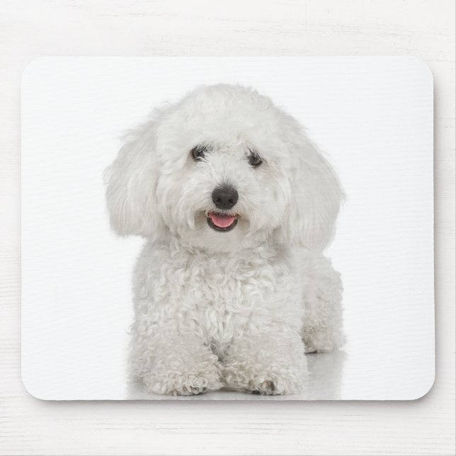Tapis De Souris Chien maltais blanc (Devant)