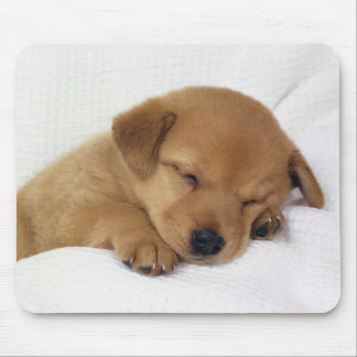 Tapis De Souris Chien mignon de bébé