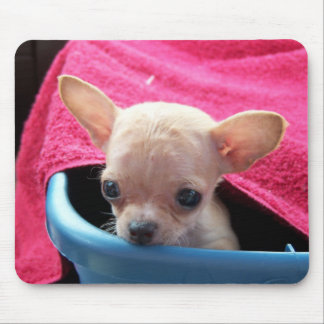 Tapis De Souris Chien Mousepad de chiwawa