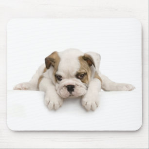 Tapis De Souris Chien Mousepad de Taureau de l'anglais
