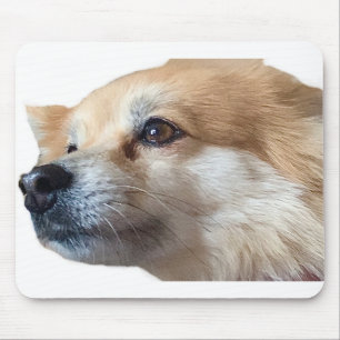 Tapis De Souris Chien Pommy Pommie Pet