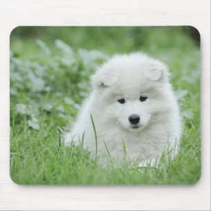 Tapis De Souris Chien Samoyé