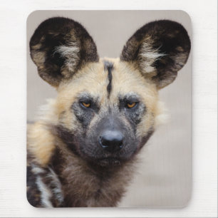 Tapis De Souris Chien sauvage africain menacé