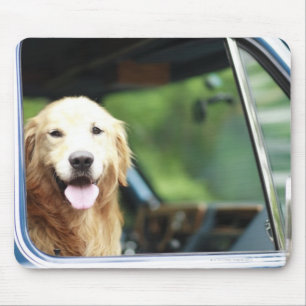 Tapis De Souris Chien se reposant dans une voiture
