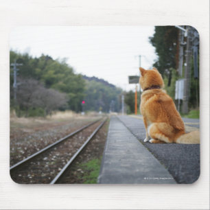 Tapis De Souris Chien se reposant sur la station de train