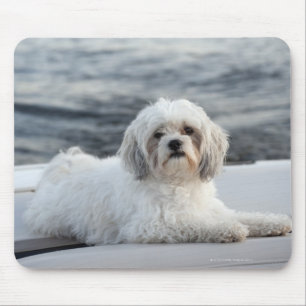 Tapis De Souris Chien s'étendant par l'eau