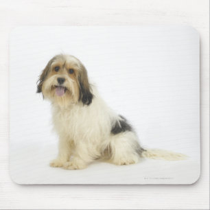 Tapis De Souris Chien sur blanc 104