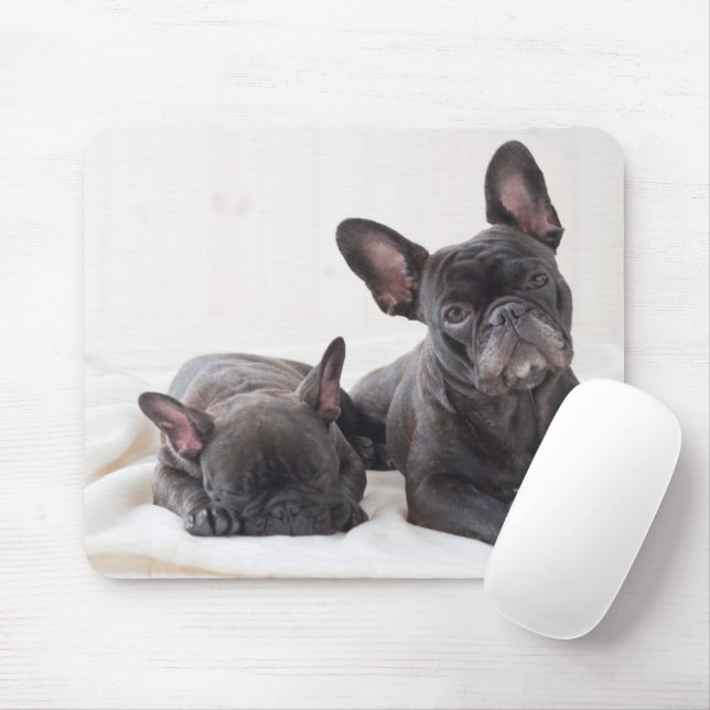Tapis De Souris Chien-taupe français mignon (Avec souris)