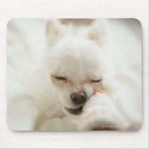 Tapis De Souris Chien tenant le jouet dans la bouche