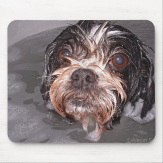 Tapis De Souris Chienchien détrempé Mousepad