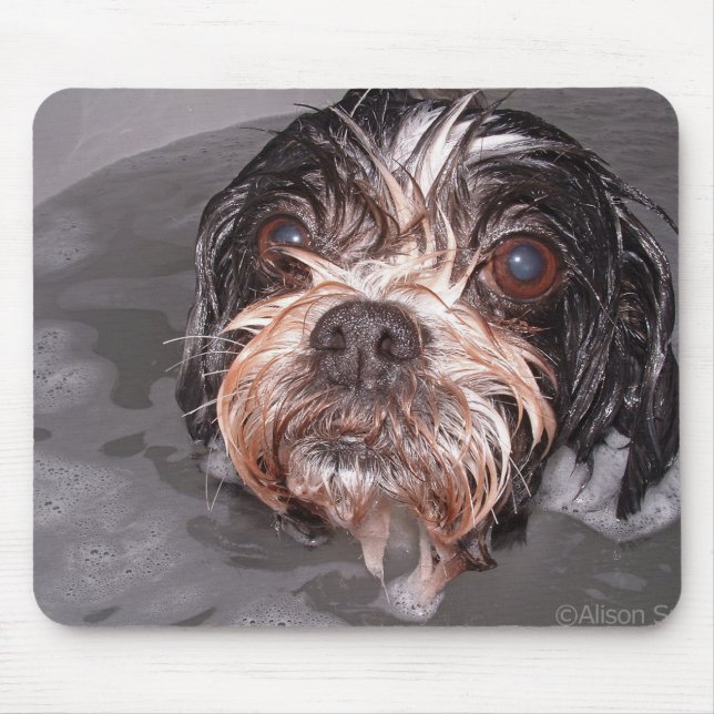 Tapis De Souris Chienchien détrempé Mousepad (Devant)
