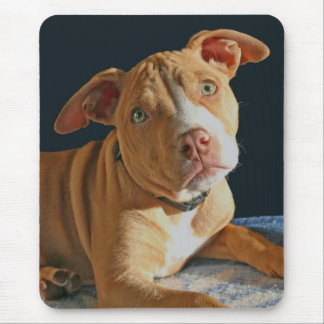 Tapis De Souris Chienchien triste Mousepad de chien de pitbull de