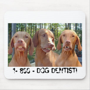 Tapis De Souris CHIENS AVEC le DENTISTE MOUSEPAD des DENTS de MÂL