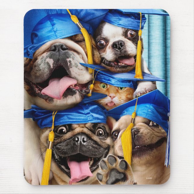 Tapis De Souris Chiens et chats diplômés en cabine photo (Devant)