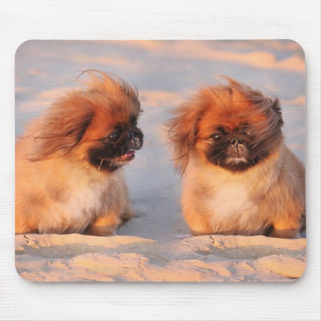 Tapis De Souris Chiens mignons de Pekingese (Devant)