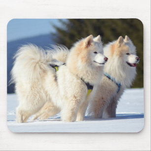 Tapis De Souris Chiens siffrés dans la neige