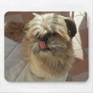 Tapis De Souris Chih Tzu mousepad