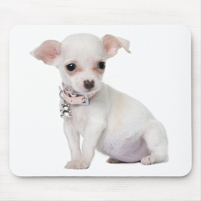 Tapis De Souris Chihuahua Chiot-Chiot-Ordinateur Mousepad (Devant)