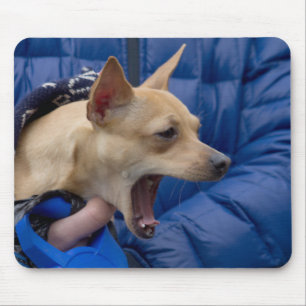 Tapis De Souris Chihuahua hurle