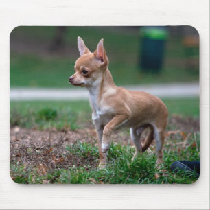 Tapis De Souris Chihuahua Puppy