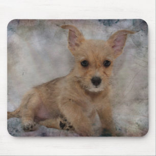 Tapis De Souris Chihuahua/Yorkie Puppy