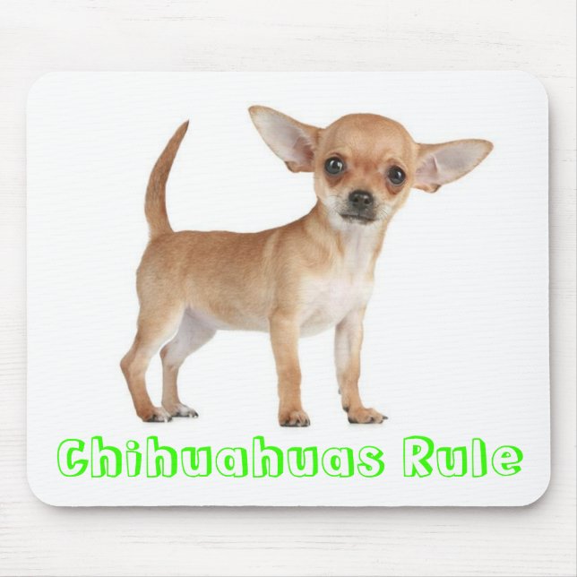 Tapis De Souris Chihuahuas Règle Chien Chien Chien Chien Chien Chi (Devant)
