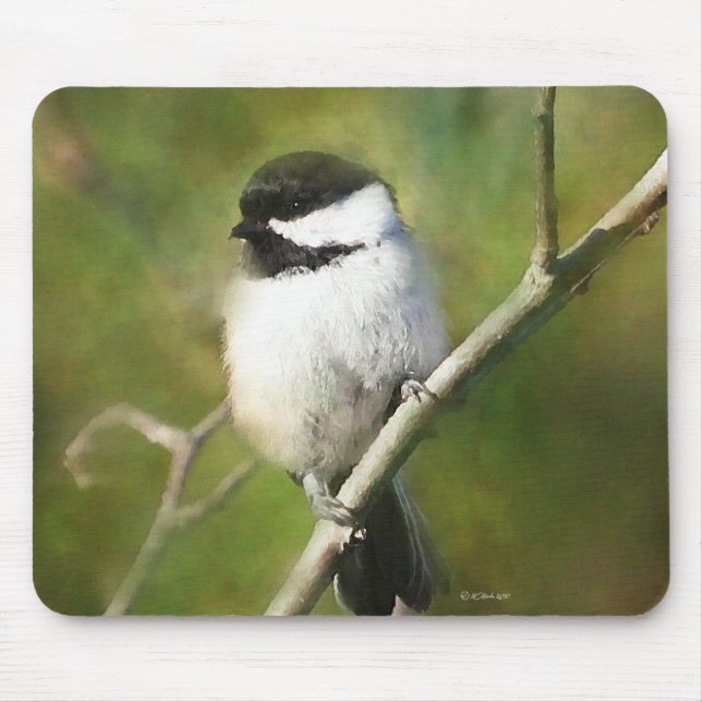 Tapis De Souris Chikadee REsting - ETSY (Devant)