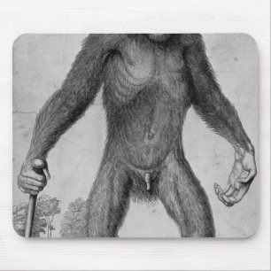 Tapis De Souris Chimpanzé, 1699