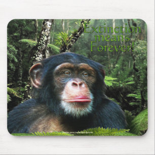 Tapis De Souris Chimpanzé et forêt tropicale Soutien faunique Mous